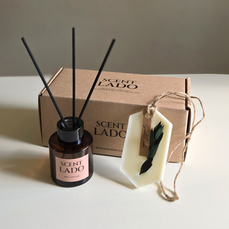 센트라도 미니 디퓨저 50ml+고체방향제 왁스타블렛 세트 #3