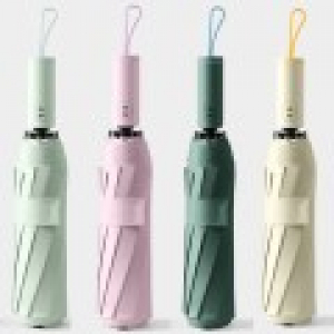 프로텍션 3단 완자동 양우산