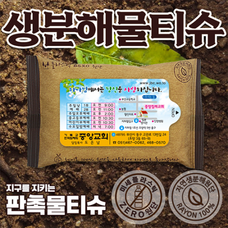 생분해 전도용 물티슈10매 #2