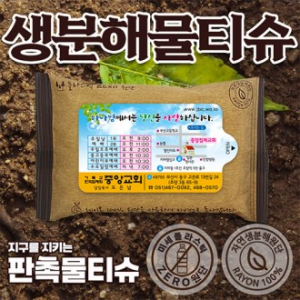 생분해 전도용 물티슈10매