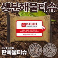 생분해 물티슈 10매