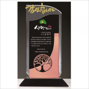 감사합니다 투톤 크리스탈 상패 422 -나무