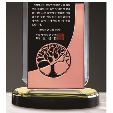동색 나무문양 크리스탈 상패 412 #4