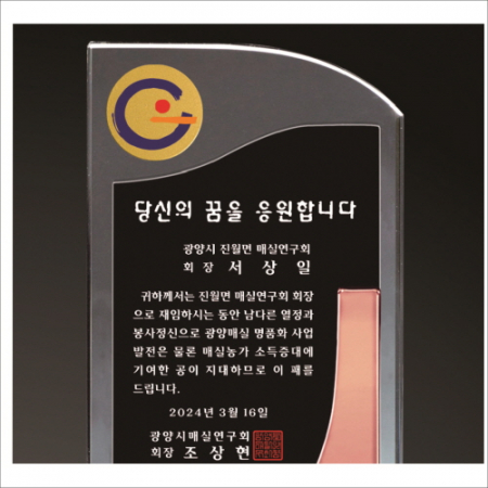 동색 나무문양 크리스탈 상패 412 #3