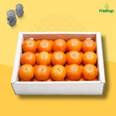 [MA][프레샵] 선물용 달콤 제주 하우스 감귤 3kg/로얄과