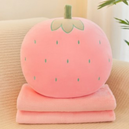 쿠션 담요 극세사담요 #2