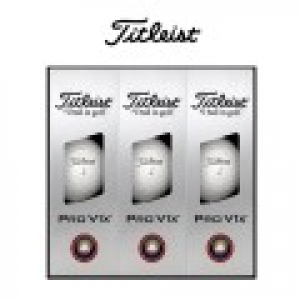 타이틀리스트 25 pro v1x 9구 로고인쇄