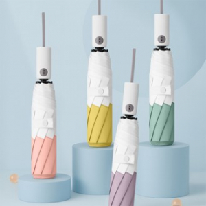 아르코 8K 3단 자동우산