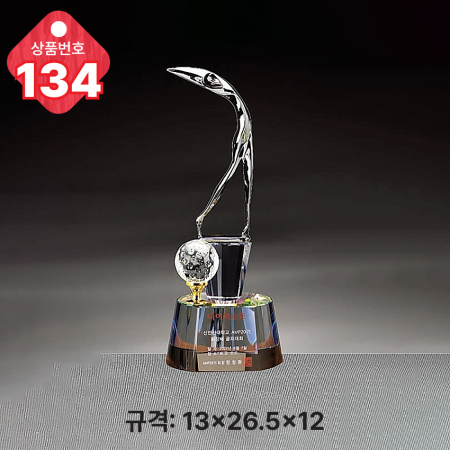 크리스탈 트로피 133 #5