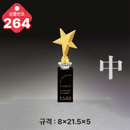 크리스탈 트로피 263 #5