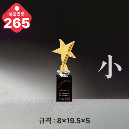 크리스탈 트로피 263 #6