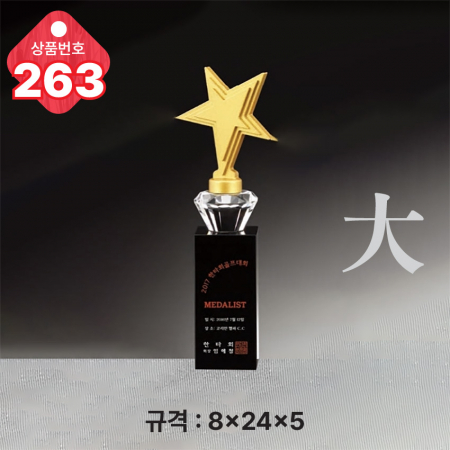 크리스탈 트로피 263 #4