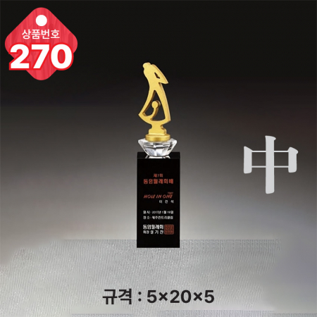 크리스탈 트로피 269 #5