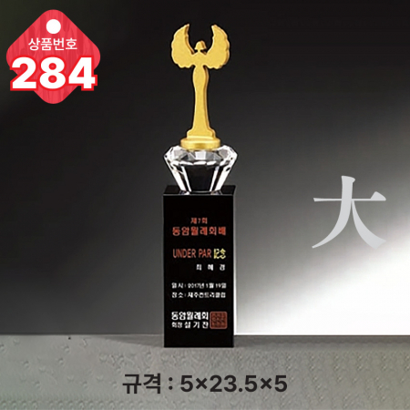 크리스탈 트로피 284 #4