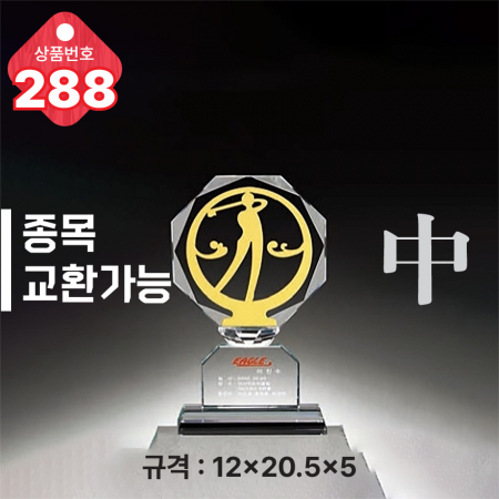 크리스탈 트로피 287 #5