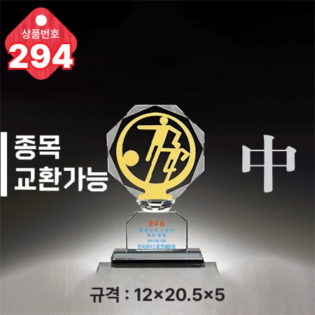 크리스탈 트로피 293 #5