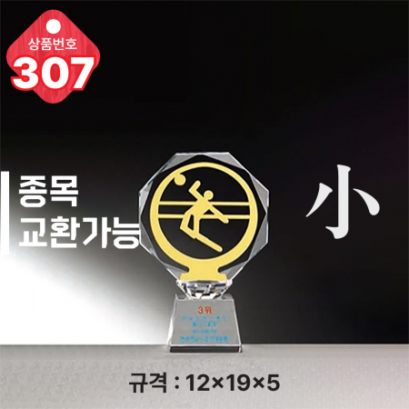 크리스탈 트로피 305 #6