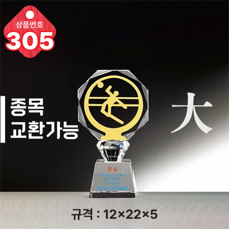 크리스탈 트로피 305 #3