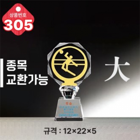 크리스탈 트로피 305 #2