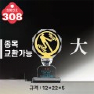 크리스탈 트로피 308