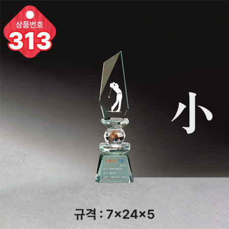 크리스탈 트로피 311 #6