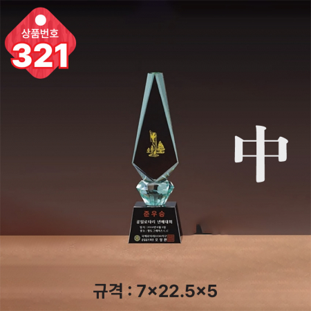 크리스탈 트로피 320 #5