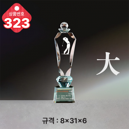 크리스탈 트로피 323 #3