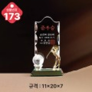 크리스탈 트로피 173