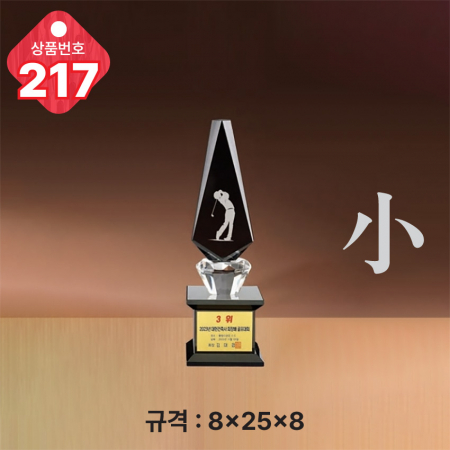 크리스탈 트로피 215 #6