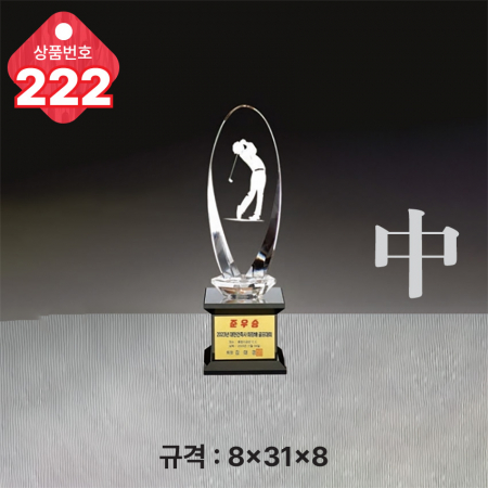 크리스탈 트로피 221 #5