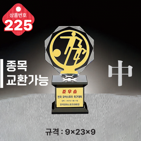 크리스탈 트로피 224 #5