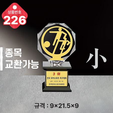 크리스탈 트로피 224 #6