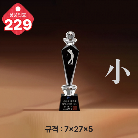 크리스탈 트로피 227 #6