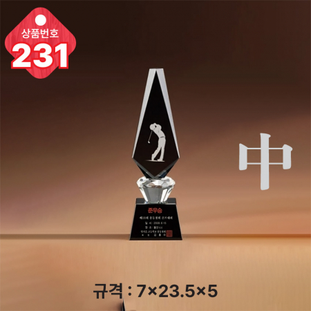 크리스탈 트로피 230 #5