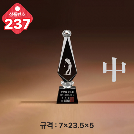 크리스탈 트로피 236 #5