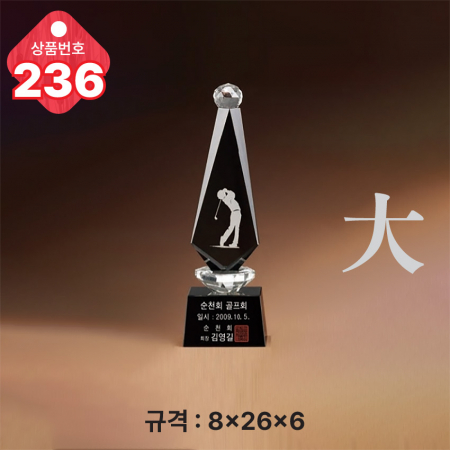 크리스탈 트로피 236 #3