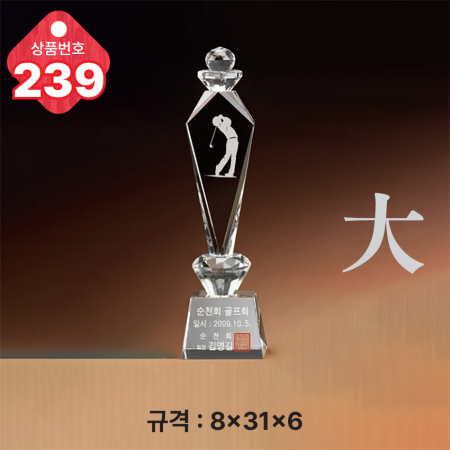 크리스탈 트로피 239 #3