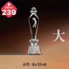 크리스탈 트로피 239