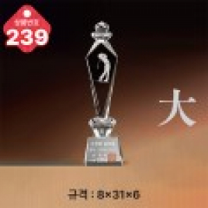 크리스탈 트로피 239