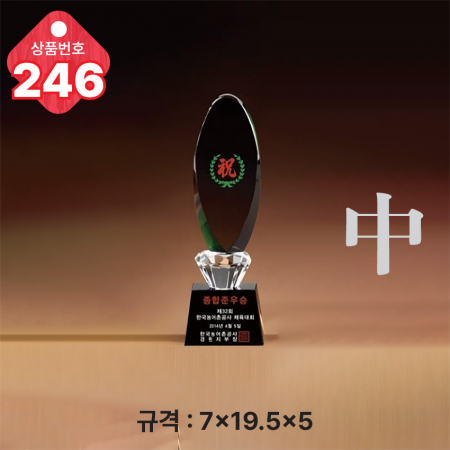 크리스탈 트로피 245 #5