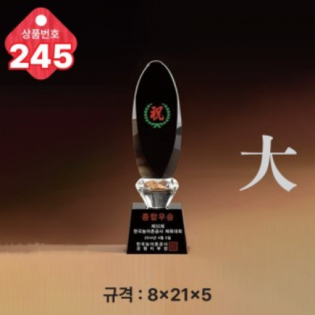 크리스탈 트로피 245 #2