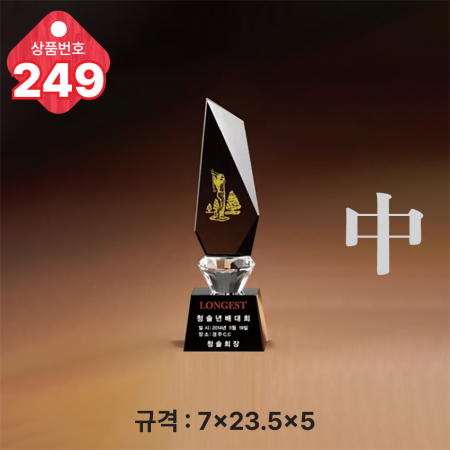 크리스탈 트로피 248 #5