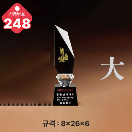 크리스탈 트로피 248 #4