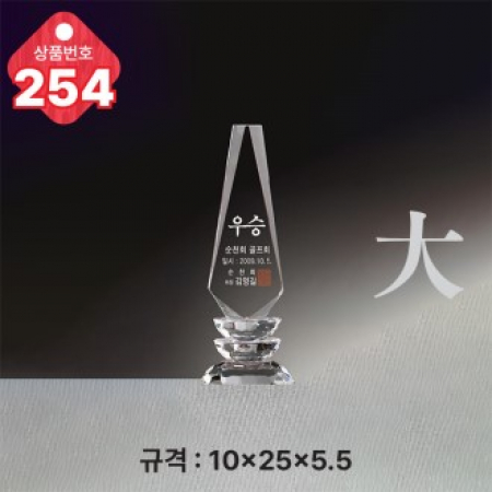 크리스탈 트로피 254 #2