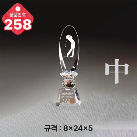 크리스탈 트로피 257 #5