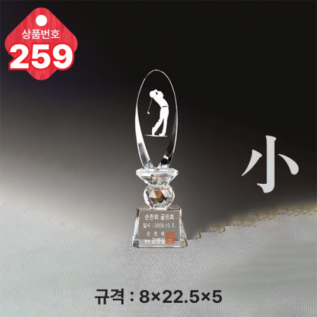 크리스탈 트로피 257 #6