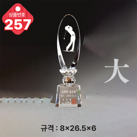 크리스탈 트로피 257 #3