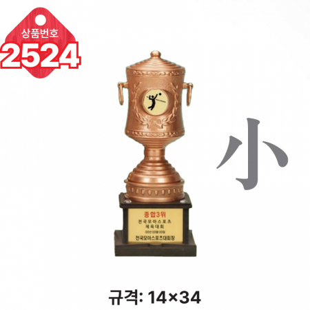 일반 조형 트로피 2522 #6