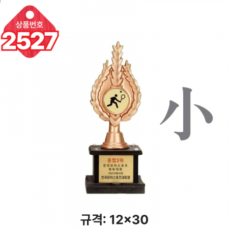일반 조형 트로피 2525 #6