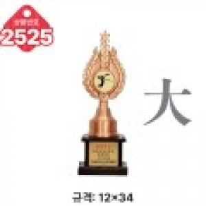 일반 조형 트로피 2525